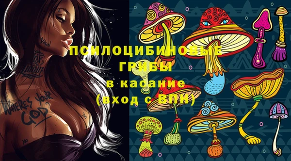 героин Алзамай