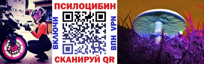 Галлюциногенные грибы ЛСД  ОМГ ОМГ   Енисейск  где продают  